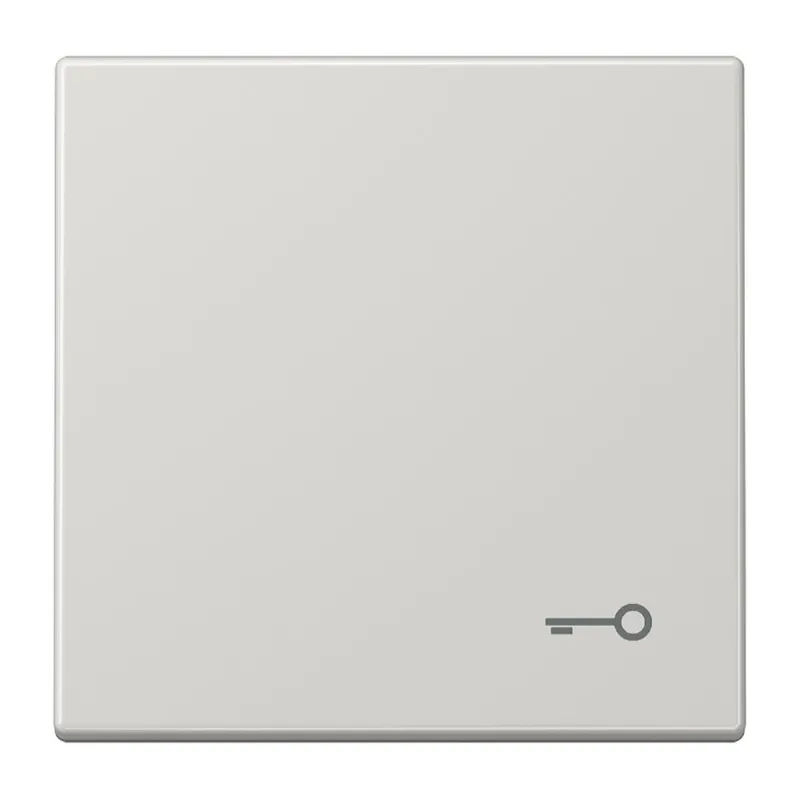 Jung Wippe, Symbol Tür, Duroplast, Serie LS, lichtgrau LS990TLG