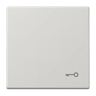 Jung Wippe, Symbol Tür, Duroplast, Serie LS, lichtgrau LS990TLG