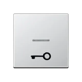 Jung Wippe mit Lichtleiter, mit abtastbarem Symbol Tür, Serie A, aluminium A590T1KOAL