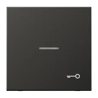 Jung Wippe mit Lichtleiter, Symbol Tür, Aluminium lackiert, Serie LS, anthrazit (lackiertes Aluminium) AL2990KO5TAN