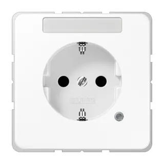 Jung Zentralplatte für SCHUKO®-Steckdosen mit Schriftfeld, Serie CD, alpinweiß CD520NAKOWWPL