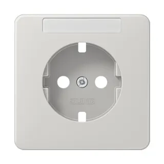 Jung Zentralplatte für SCHUKO®-Steckdosen mit Schriftfeld, Duroplast, Serie CD, lichtgrau CD1520NAPLLG