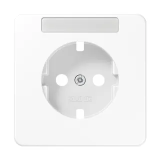 Jung Zentralplatte für SCHUKO®-Steckdosen mit Schriftfeld, Duroplast, Serie CD, alpinweiß CD1520NAPLWW