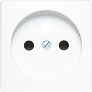 Jung Zentralplatte für Steckdoseneinsatz, französisch/belgisches System, Duroplast, 50 x 50 mm, alpinweiß 121FKIWWPL-1