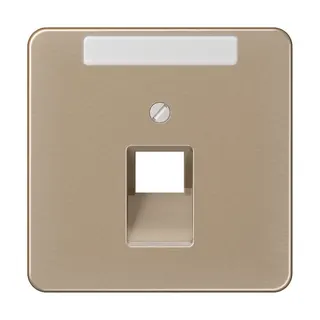 Jung Abdeckung für IAE/UAE-Anschlussdosen 1 x 8-polig, mit Schriftfeld, Aluminium eloxiert, Serie CD, gold-bronze CD569-1NAUAGB