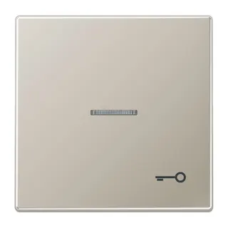 Jung Wippe mit Lichtleiter, Symbol Tür, Serie LS, Edelstahl ES2990KO5T