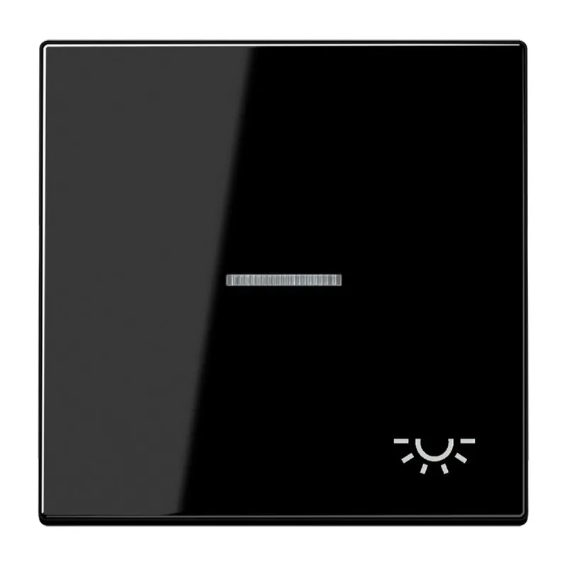 Jung Wippe 1fach mit Lichtleiter, Symbol Licht, Duroplast, Serie LS, schwarz LS990KO5LSW