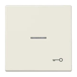 Jung Wippe mit Lichtleiter, Symbol Tür, Duroplast, Serie LS, weiß LS990KO5T