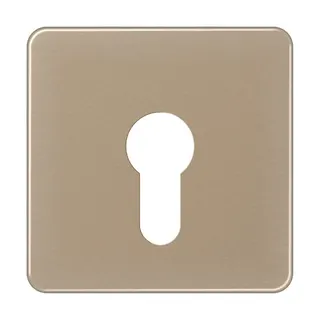 Jung Abdeckung für Schlüsselschalter ohne Demontageschutz, Aluminium eloxiert, Serie CD, gold-bronze CD525GB