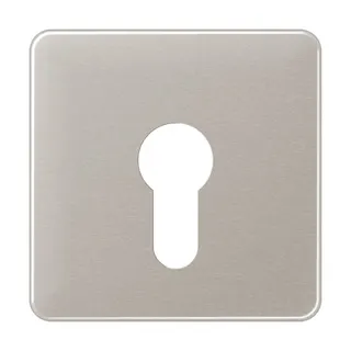 Jung Abdeckung für Schlüsselschalter ohne Demontageschutz, Aluminium eloxiert, Serie CD, platin CD525PT