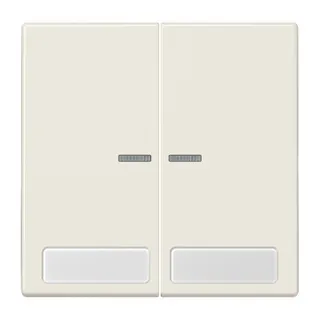 Jung Wippe 2fach mit Lichtleiter, mit Schriftfeld, Duroplast, Serie LS, weiß LS995NAKO5