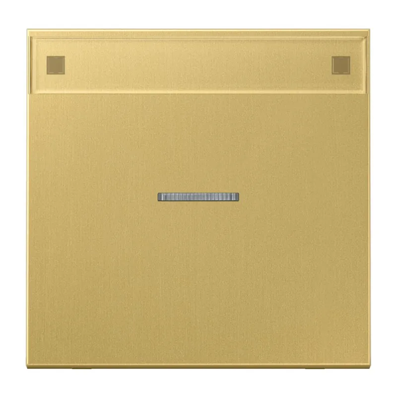 Jung Wippe 1fach mit Lichtleiter, mit Schriftfeld, Messing, Serie LS, Messing classic ME2990NAKO5C