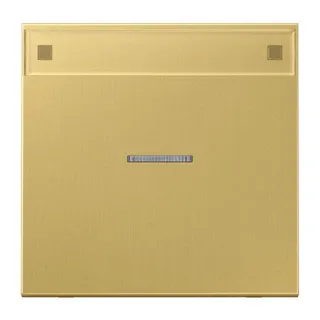 Jung Wippe 1fach mit Lichtleiter, mit Schriftfeld, Messing, Serie LS, Messing classic ME2990NAKO5C