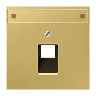 Jung Abdeckung für IAE/UAE-Anschlussdosen 1 x 8-polig, mit Schriftfeld, Messing, Serie LS, Messing classic ME2969-1NAUAC