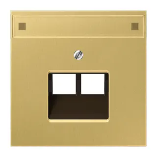 Jung Abdeckung für IAE/UAE-Anschlussdosen 2 x 8-polig, mit Schriftfeld, Messing, Serie LS, Messing classic ME2969-2NAUAC