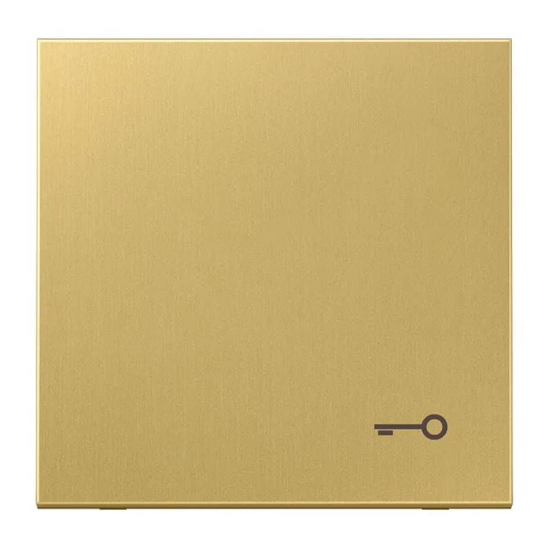 Jung Wippe, Symbol Tür, Messing, Serie LS, Messing classic ME2990TC