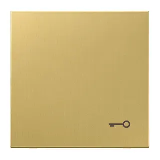 Jung Wippe, Symbol Tür, Messing, Serie LS, Messing classic ME2990TC
