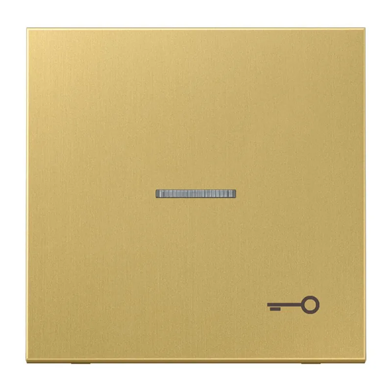 Jung Wippe mit Lichtleiter, Symbol Tür, Messing, Serie LS, Messing classic ME2990KO5TC