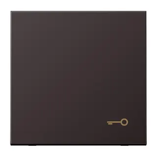 Jung Wippe, Symbol Tür, Aluminium lackiert, Serie LS, dark (lackiertes Aluminium) AL2990TD
