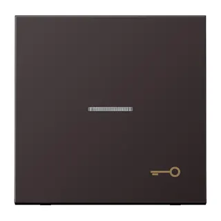 Jung Wippe mit Lichtleiter, Symbol Tür, Aluminium lackiert, Serie LS, dark (lackiertes Aluminium) AL2990KO5TD
