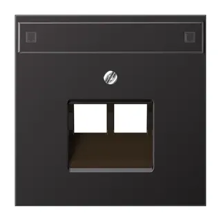Jung Abdeckung für IAE/UAE-Anschlussdosen 2 x 8-polig, mit Schriftfeld, Aluminium lackiert, Serie LS, dark AL2969-2NAUAD