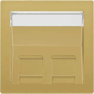 Jung Abdeckung für Montageadapter 30° 2fach, mit Schriftfeld, Thermoplast lackiert, Serie LS, Messing classic ME569-30BFPLC-L