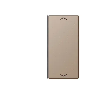 Jung Taste 2fach, mit Pfeilsymbolen, F40, Serie A, champagner A402TSAPCH