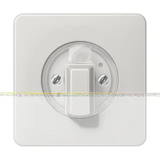Jung Abdeckung für Drehschalter, Duroplast, Serie CD, lichtgrau CD1541LG