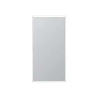 Jung Abdeckung in Tastenfarbe, F50, Serie AS/A, aluminium A50NAAL