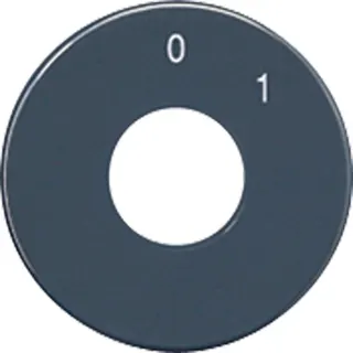 Jung Skalenscheibe, Symbole 0 I, anthrazit SKS1101-20