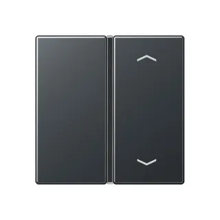 Jung Taste 1fach, mit Pfeilsymbolen, F40, Serie A, anthrazit matt A401TSAPANM