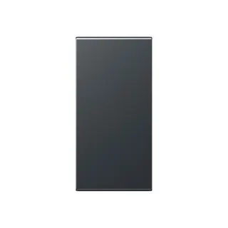 Jung Abdeckung in Tastenfarbe, F50, Serie AS/A, anthrazit matt A50NAANM