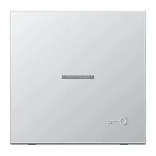 Jung Wippe mit Lichtleiter, Symbol Tür (geprägt), Serie LS, Aluminium AL2990KO5TP