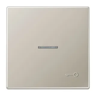 Jung Wippe mit Lichtleiter, Symbol Tür (geprägt), Serie LS, Edelstahl ES2990KO5TP