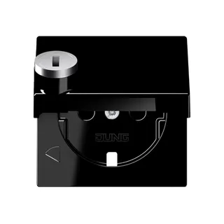 Jung Zentralplatte für SCHUKO®-Steckdoseneinsätze, Klappdeckel, Thermoplast, Serie A, schwarz A1520KLSLPLSW