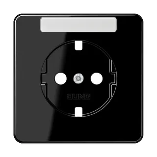 Jung Zentralplatte für SCHUKO®-Steckdosen mit Schriftfeld, Duroplast, Serie CD, schwarz CD1520NAPLSW