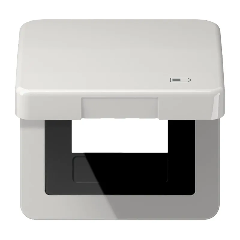 Jung Klappdeckel inklusive Zentralplatte, Symbol Charger, Serie CD, lichtgrau CD590KLUSBLG