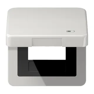 Jung Klappdeckel inklusive Zentralplatte, Symbol Charger, Serie CD, lichtgrau CD590KLUSBLG