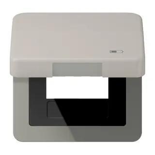 Jung Klappdeckel inklusive Zentralplatte, Symbol Charger, Serie CD, platin CD590KLUSBPT