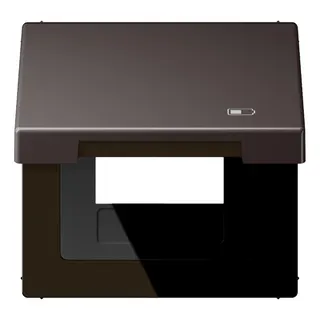 Jung Klappdeckel (mit Rückstellfeder) inklusive Zentralplatte, Symbol Charger, Serie LS, dark (lackiertes Aluminium) AL2990KLUSBD