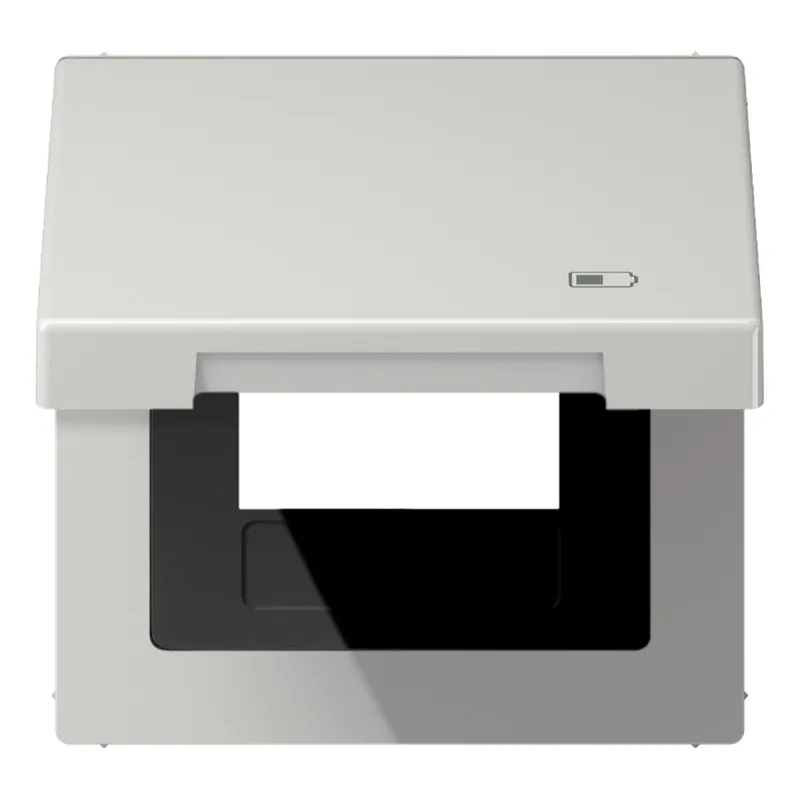 Jung Klappdeckel mit Rückstellfeder, Symbol Charger, Serie LS, lichtgrau LS990BFKLUSBLG