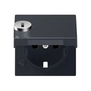 Jung Zentralplatte für SCHUKO®-Steckdoseneinsätze, Klappdeckel, Thermoplast lackiert, Serie A, anthrazit matt A1520KLSLPLANM