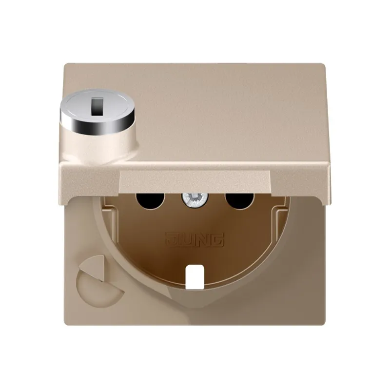 Jung Zentralplatte für SCHUKO®-Steckdoseneinsätze, Klappdeckel, Thermoplast lackiert, Serie A, champagner A1520KLSLPLCH