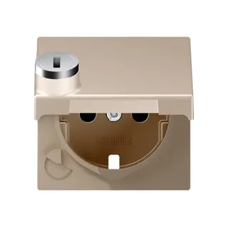 Jung Zentralplatte für SCHUKO®-Steckdoseneinsätze, Klappdeckel, Thermoplast lackiert, Serie A, champagner A1520KLSLPLCH