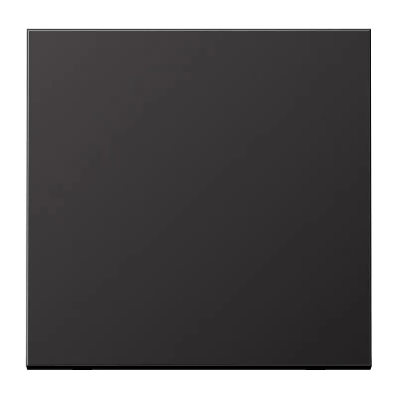 Jung LB-Management Taster 1fach, neutral, Aluminium lackiert, Serie LS, dark (lackiertes Aluminium) AL1700D