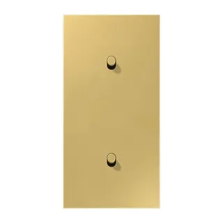 Jung Abdeckung mit Kipphebel, Zylinder, 2fach, 2 x 1 Kipphebel, senkrecht, Serie LS 1912, Messing classic ME12-20CR25