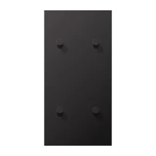 Jung Abdeckung mit Kipphebel, Kegel, 2fach, 2 x 2 Kipphebel, senkrecht, Serie LS 1912, dark (lackiertes Aluminium) AL12-25DK01