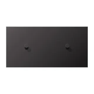 Jung Abdeckung mit Kipphebel, Kegel, 2fach, 2 x 1 Kipphebel, waagerecht, Serie LS 1912, dark (lackiertes Aluminium) AL12-200DK01