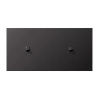 Jung Abdeckung mit Kipphebel, Zylinder, 2fach, 2 x 1 Kipphebel, waagerecht, Serie LS 1912, dark (lackiertes Aluminium) AL12-200DR01