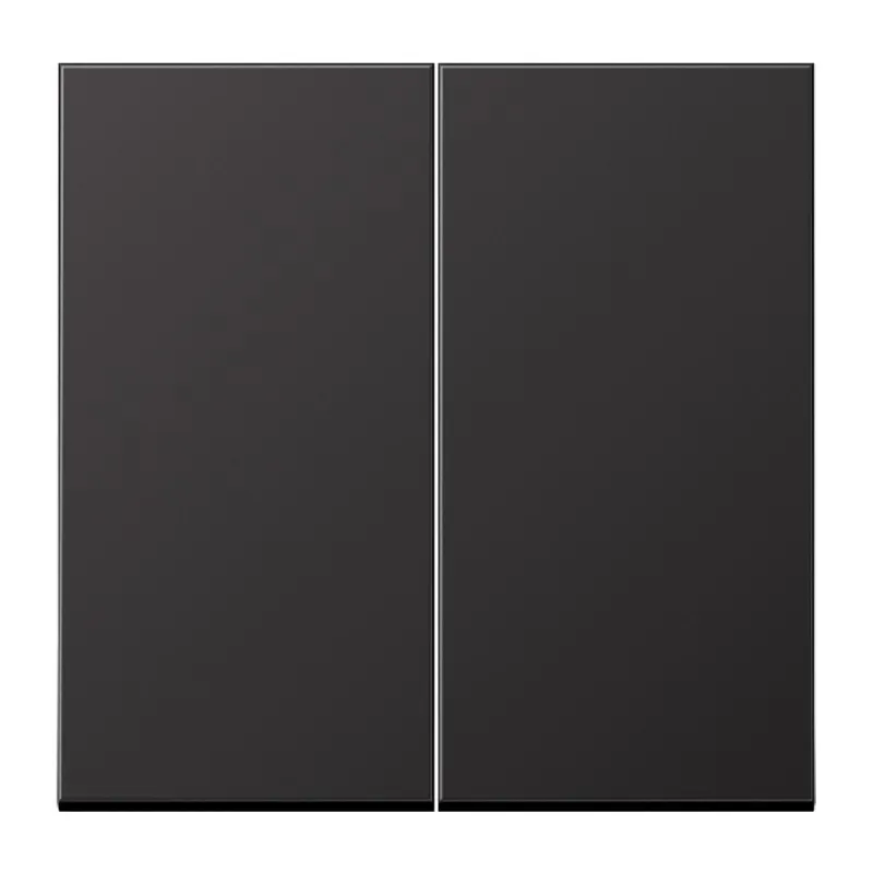 Jung LB-Management Taster 2fach, Aluminium lackiert, Serie LS, dark (lackiertes Aluminium) AL1702D